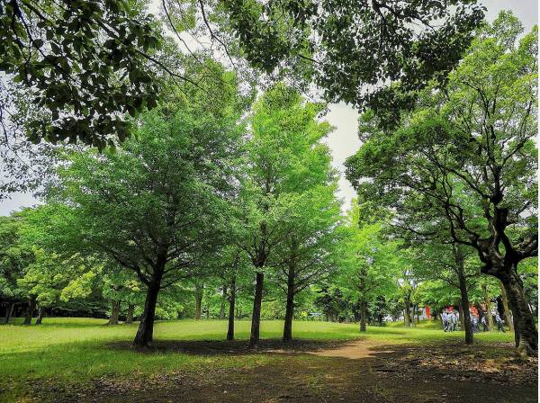 翠ヶ丘公園まで徒歩7分（約550ｍ）