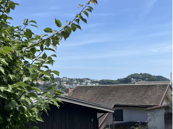 現地東南からの眺望です