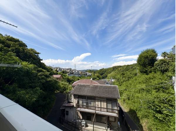 こちらはバルコニー側の景色になります