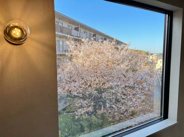 桜の時期にはキッチンの窓から桜が見えますよ！