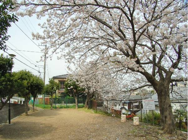 腰越さる公園まで徒歩3分（約220m）