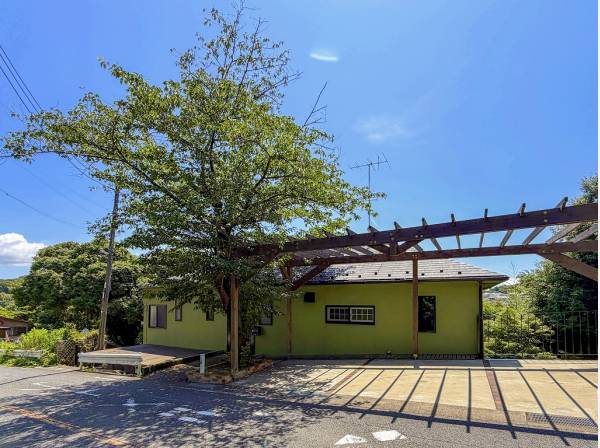 大きな桜のシンボルツリーが佇むアプローチ