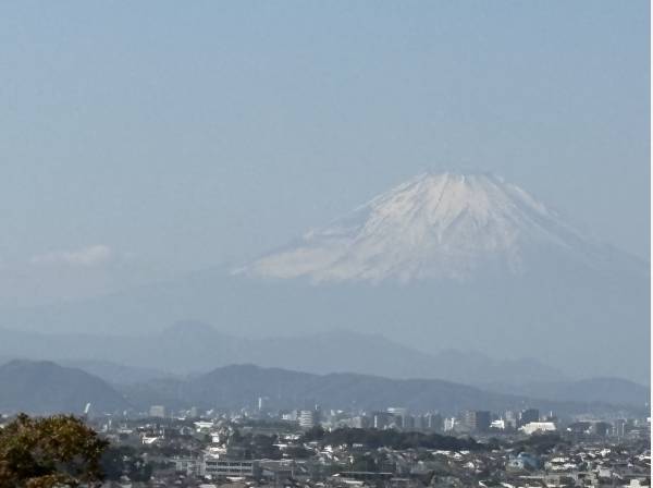 陽当たり、通風、良好の土地