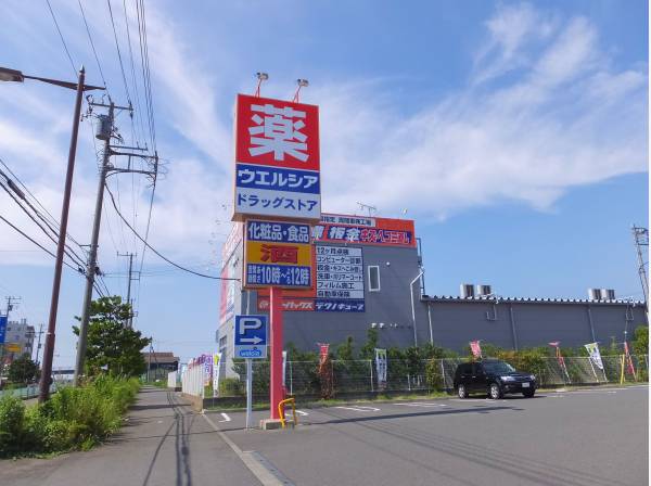 ウエルシア藤沢柄沢店まで徒歩4分（約290m）