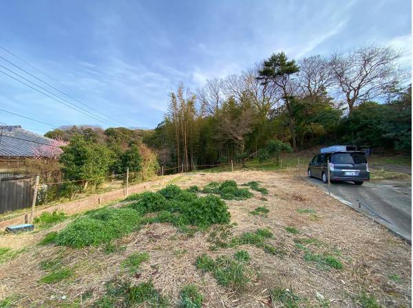 敷地奥はまさに里山の様な風情。