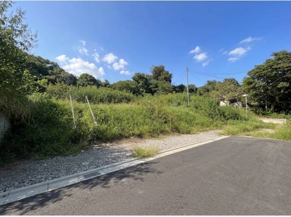 葉山町の豊かな自然を感じることができます！