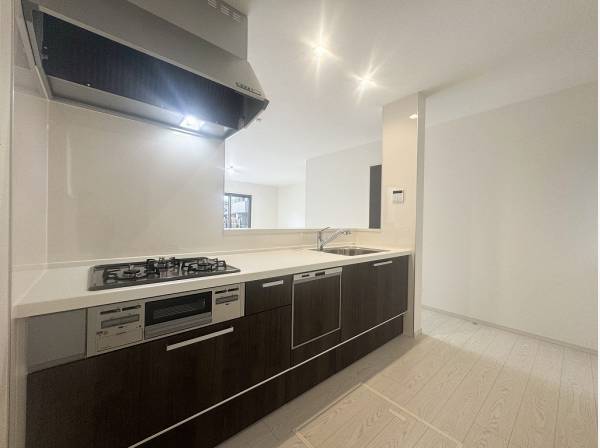 システムキッチンにはビルトイン食洗器や浄水器などの設備が充実