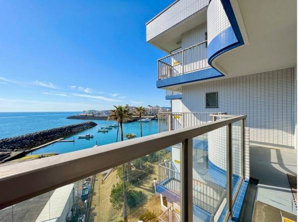 逗子マリーナも見えました♪