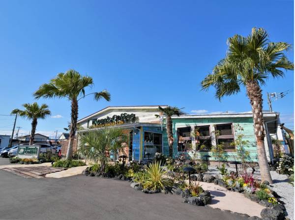 コナズ珈琲茅ヶ崎店まで徒歩4分（約300m）