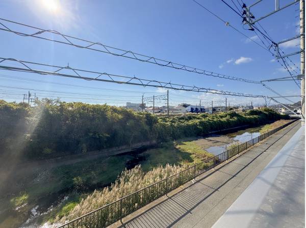 静かに流れる川に緑と太陽が反射してキラキラと輝きます