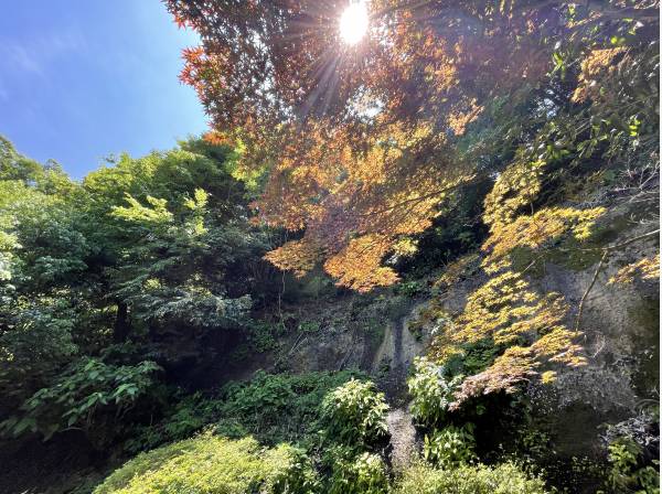 四季の移ろい、鎌倉の豊かな自然環境を享受できる場所
