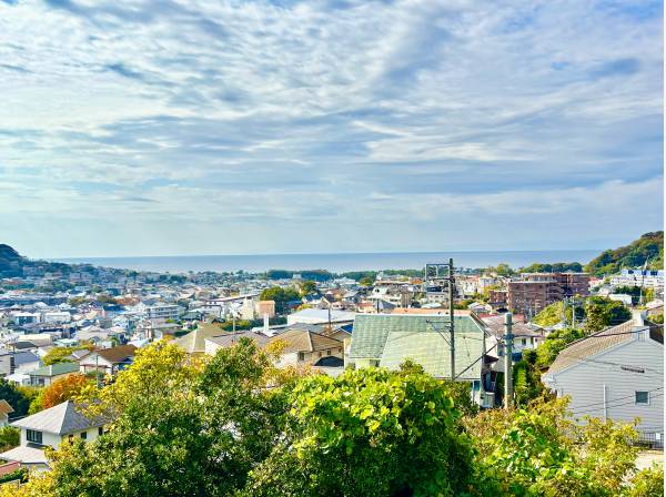 海、空、そして葉山の緑。