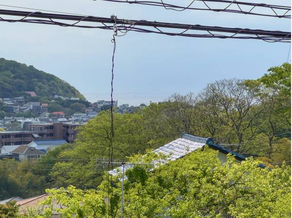 現在の地盤面から見た南側。海、見えてるんですけど…分かりづらくて残念。