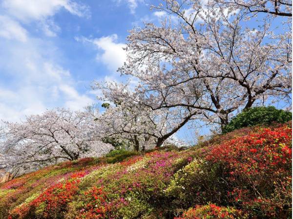 花の木公園まで徒歩7分 (約550ｍ)