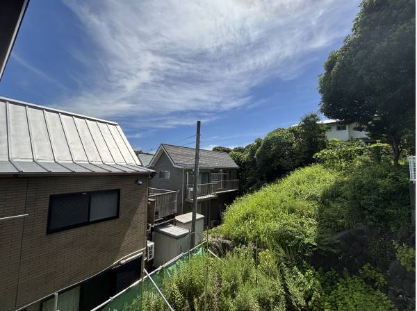 朝起きて、緑の気持ちの良い景色を望む

