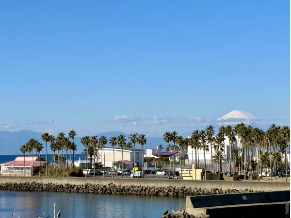海と富士山とパームツリーを眺めるリゾートレジデンス