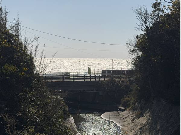 しっかり海を望みます。ロマンチックです♪