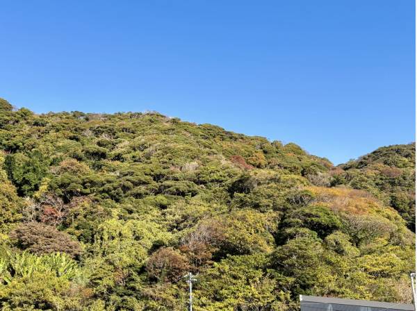 緑の山々に包まれた豊かなロケーションも魅力です