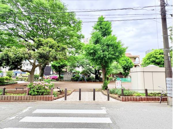 眼の前に緑豊かな明石町公園があり、リフレッシュタイムがいつでも可能です