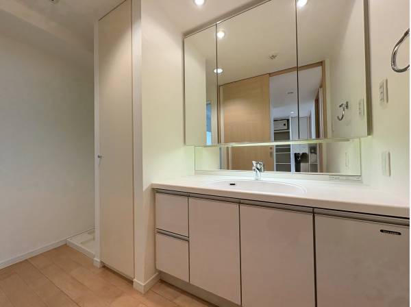 鏡が大きく便利な洗面所