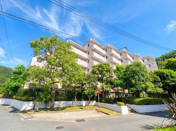 豊かな緑の街並みに美しく映える落ち着いた佇まい