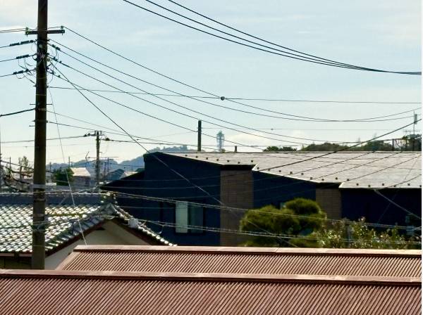 江ノ島のてっぺんが遠望できました！