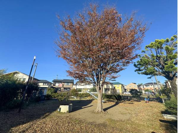 辻堂砂場公園まで徒歩6分（約450m）