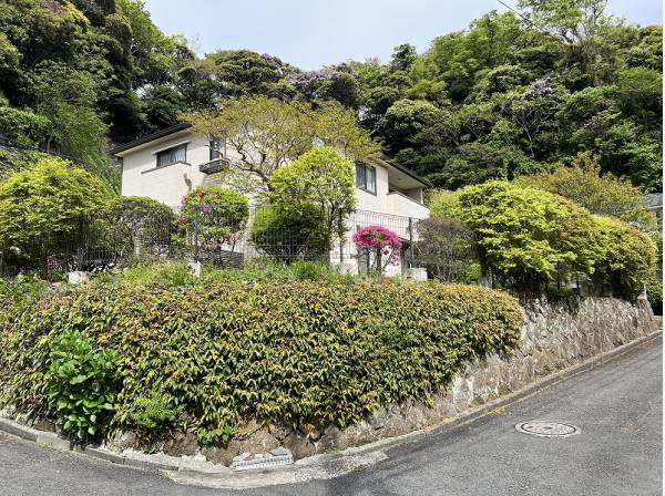 開放感に恵まれた角地のロケーション