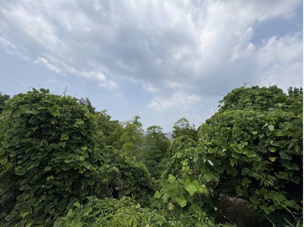2回以上の高さからは富士山も望める！