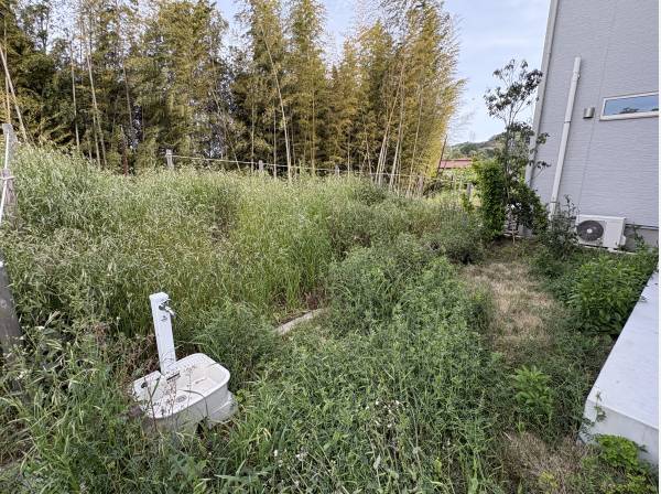 裏庭には水道が有るので、家庭菜園や子供のプールやBBQもいいですね！