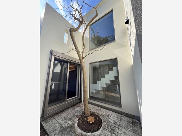 中庭の植栽が吹き抜けに彩りをもたらします