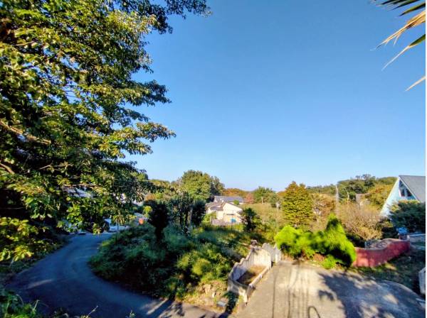 現地からの眺望/グリーンビューに心癒されます