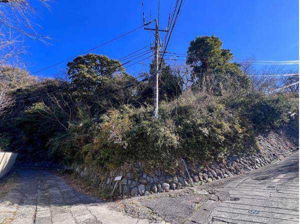 陽の光に包まれた開放的な角地のロケーション