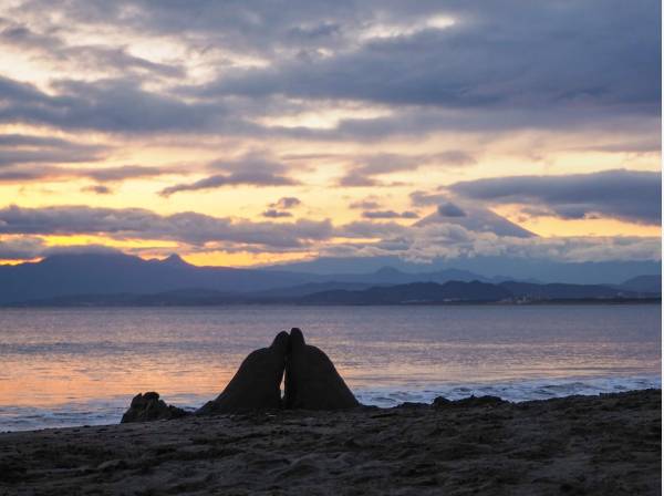 片瀬西浜海水浴場まで自転車で6分（約1.7㎞）