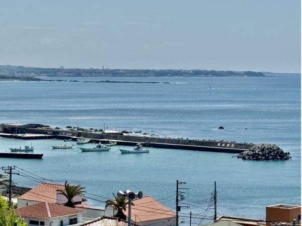 南国風の久留和漁港ですよ！