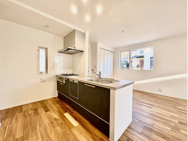 キッチンもご覧の通り広さがあります