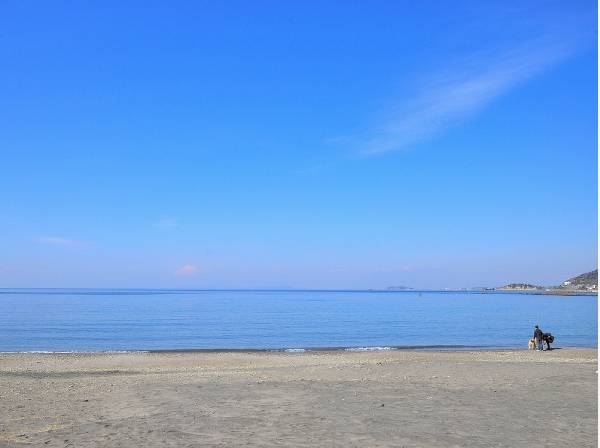 風光明媚な景観が広がる秋谷海岸まで徒歩２分(約160ｍ)