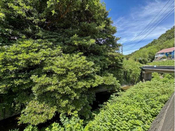 敷地のすぐそばを流れる下山川 美しい水辺の風景に癒されます