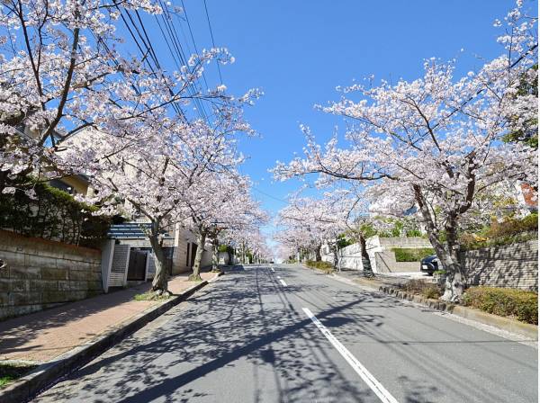 春には桜並木が美しいハイランド入口まで徒歩１分(約20ｍ)

