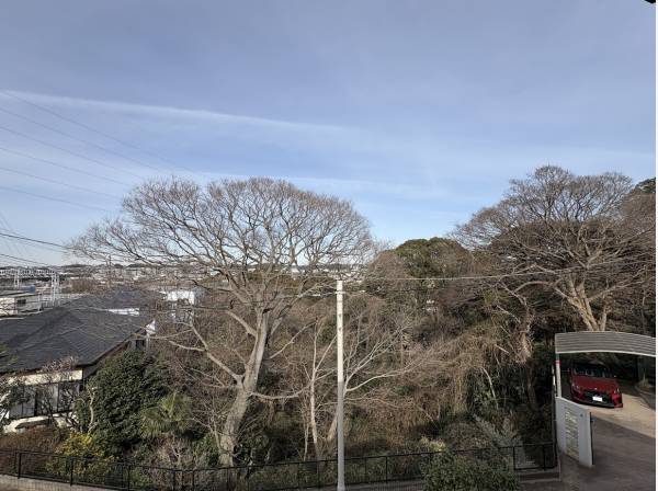 鎌倉山の自然に囲まれた環境です