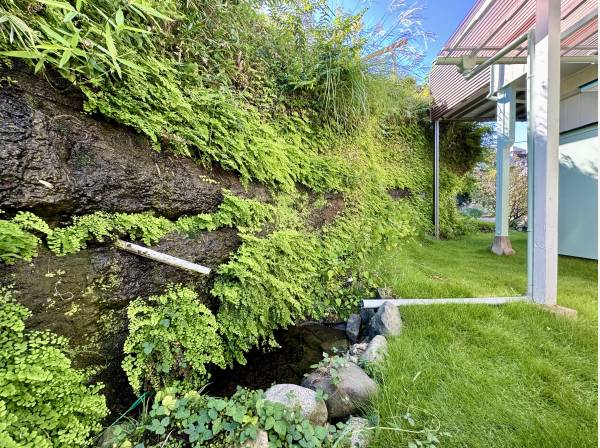 お庭には石清水が流れる溜池があります♪