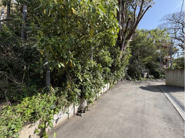 下側の道路です。