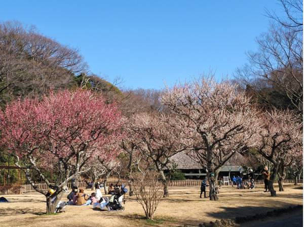 新林公園まで徒歩5分 (約350ｍ)