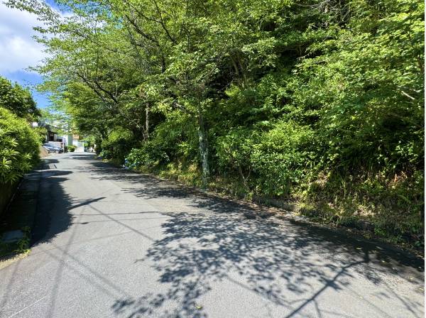 緑を感じる閑静な住宅街です。（写真は現地までの道中）