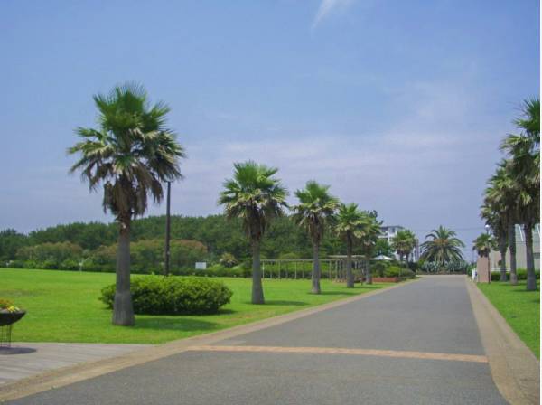 辻堂海浜公園まで約2100ｍ