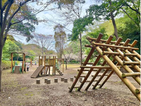 鎌倉中央公園で四季折々の自然を感じながらハイキングが楽しめます（約400ｍ）