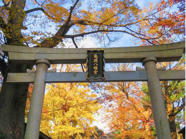 亀岡八幡宮まで徒歩5分（約350m）