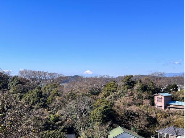 建物によってはお部屋からもこの雄大な富士山を望むことができるでしょう