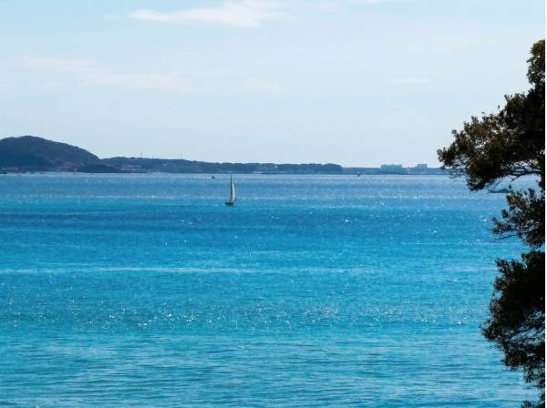 小動の緑と真っ青な海とのコントラスト