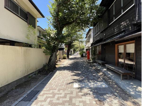 石畳と街路樹が鎌倉らしい風情を感じます